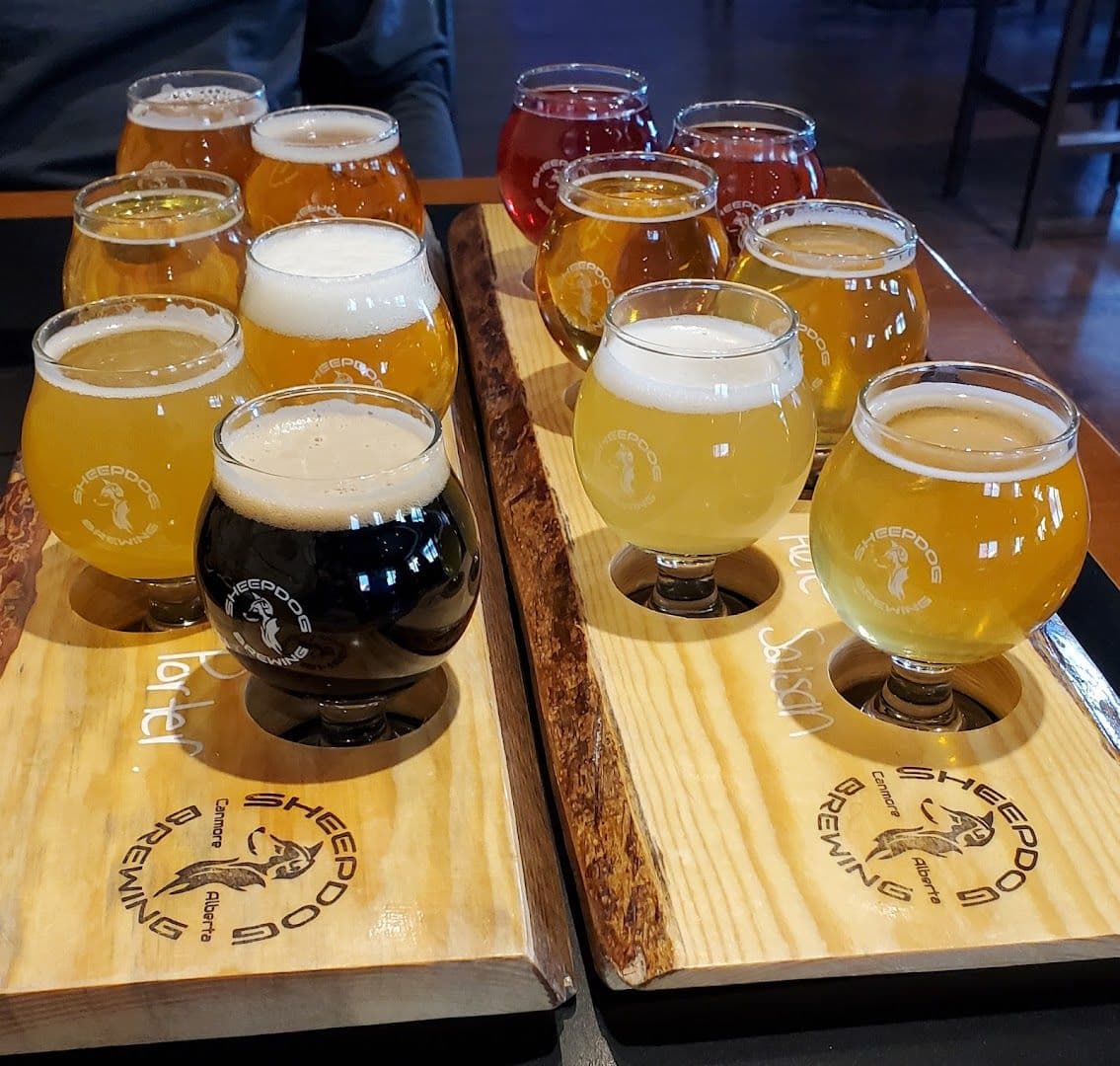 Sheepdog Brewing photo 3